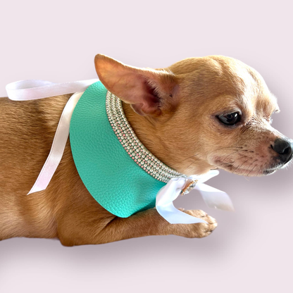 Sniffany Blue Neck Collar Dog Collar