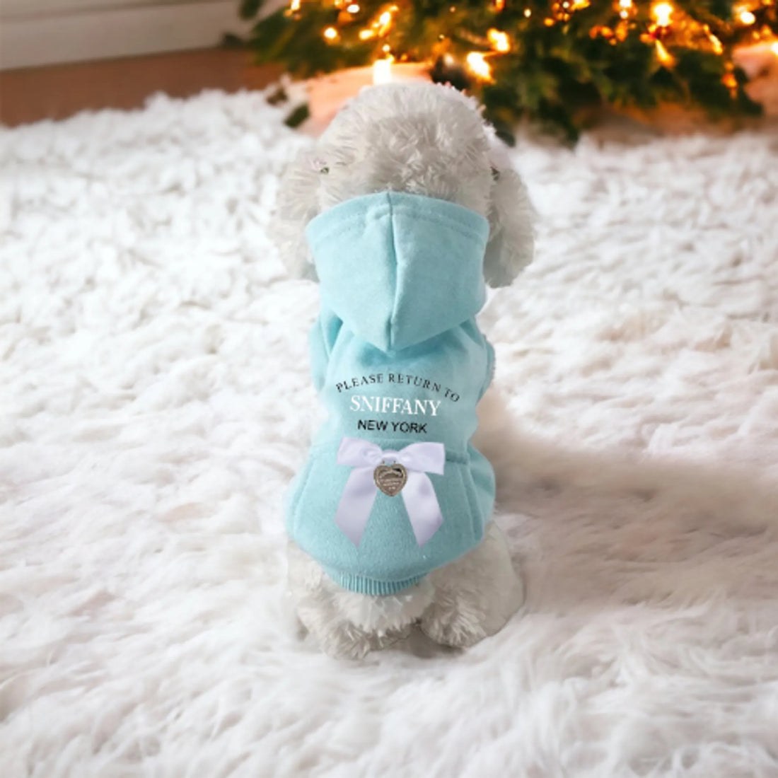 Dog wearing blue heart charm bow hoodie, size S