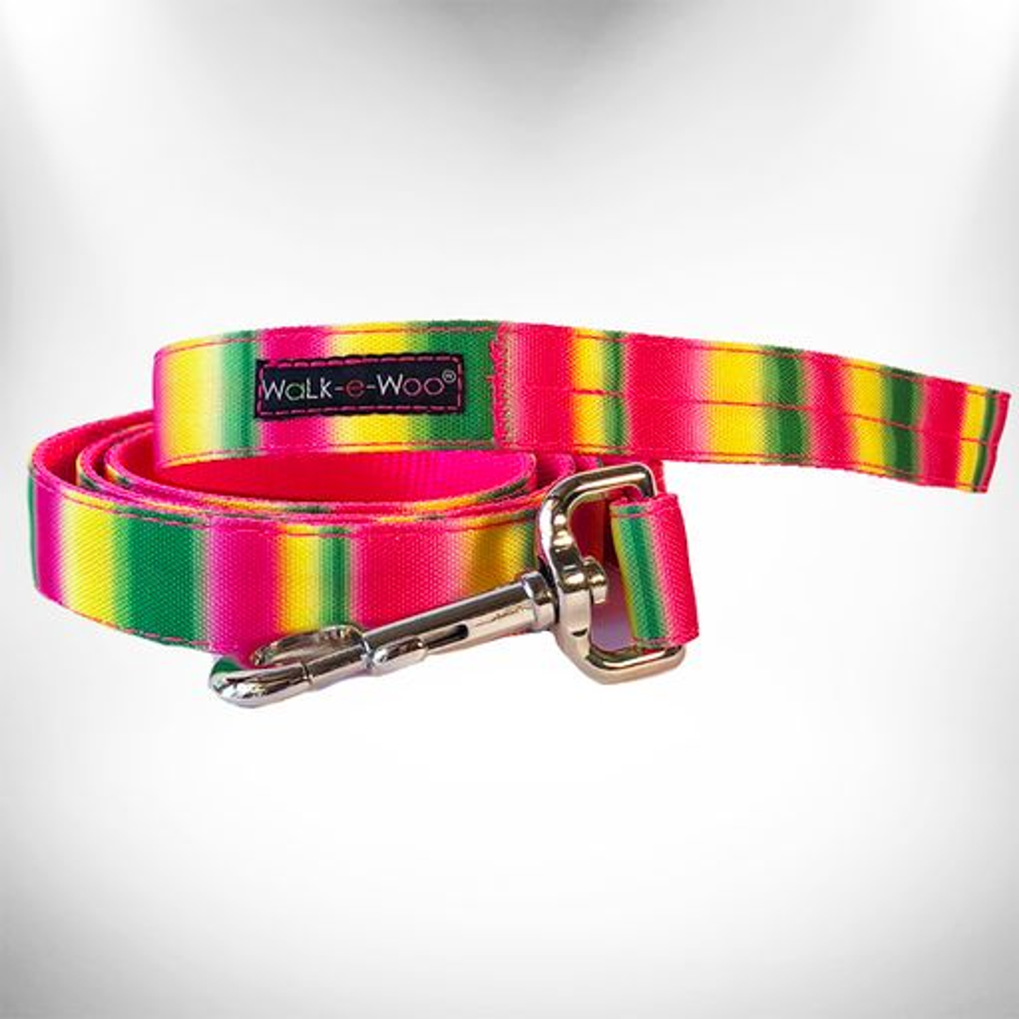 Walk-e-Woo Tie Dye Dog Leash - 5 ft
