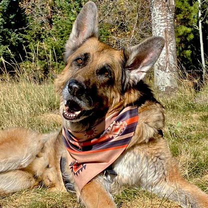 Walk-e-Woo Reversible Dog Bandana