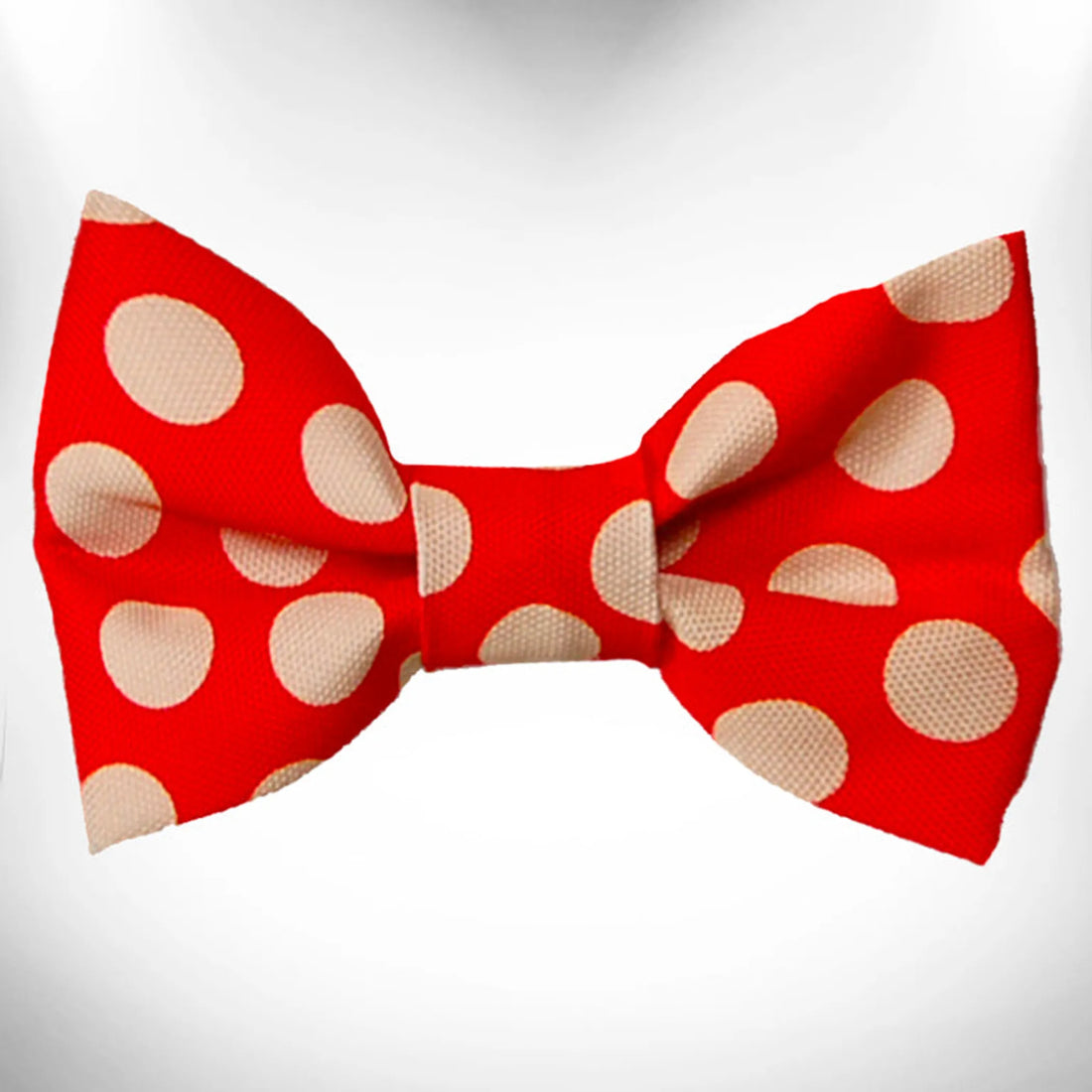 Dog bow tie, style C, small, close-up