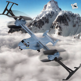 telecontrolled aircraft
