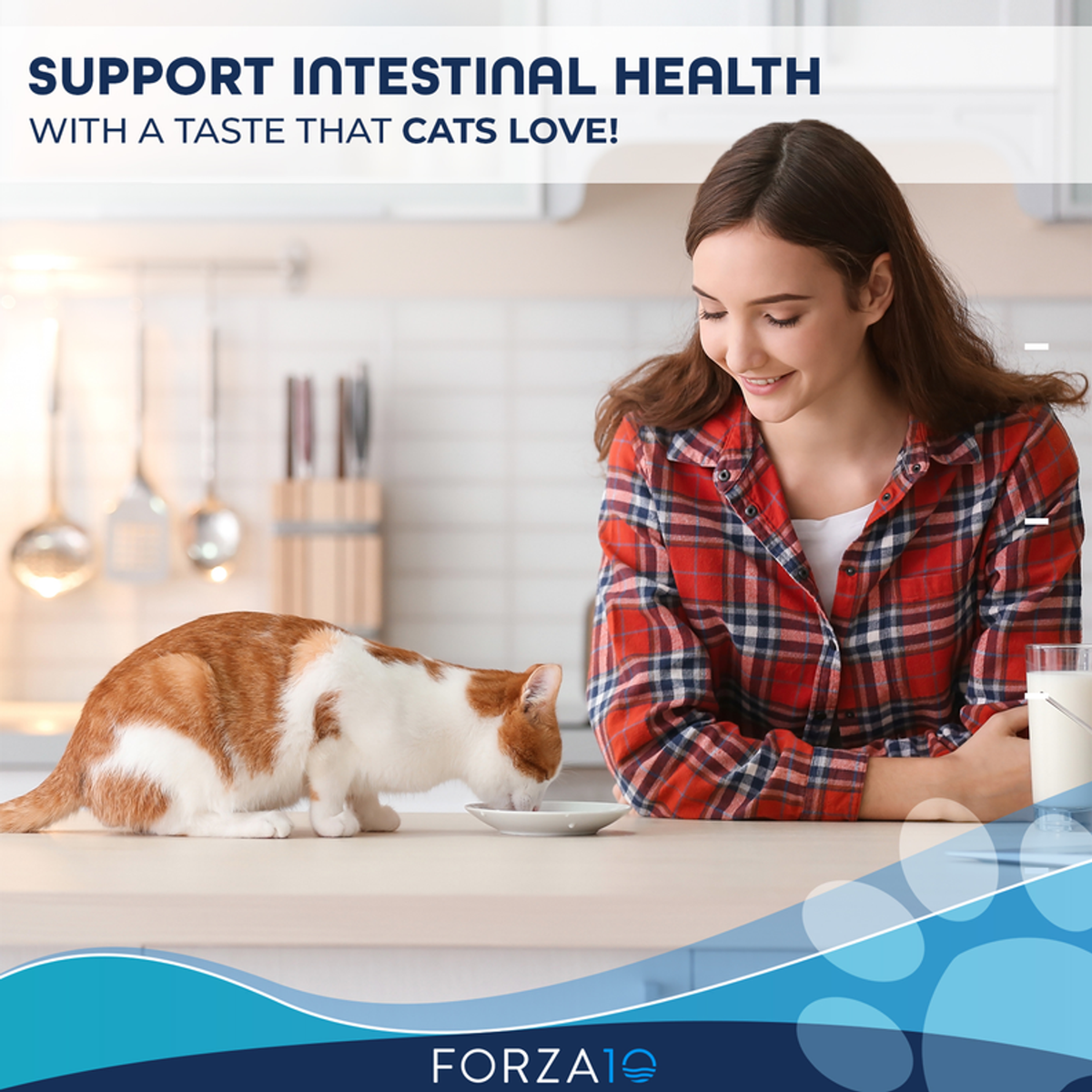 Forza10 Active Intestinal Support Diet Dry Cat Food