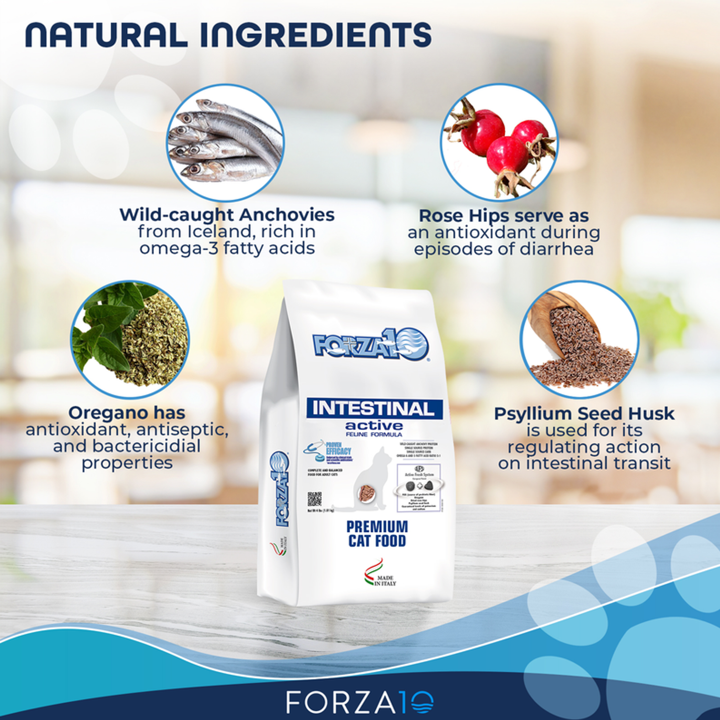 Forza10 Active Intestinal Support Diet Dry Cat Food