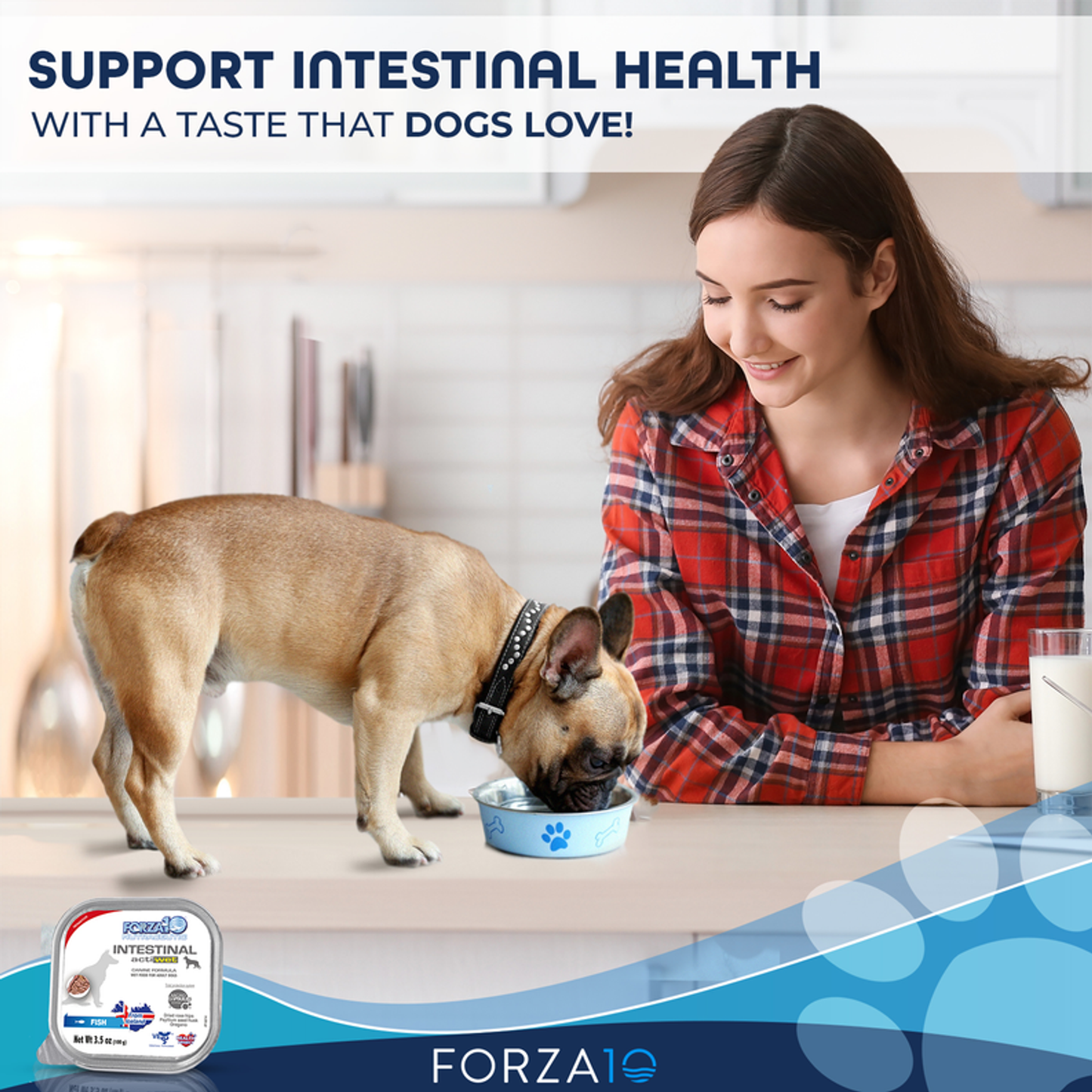 Forza10 ActiWet Intestinal Support Canned Dog Food