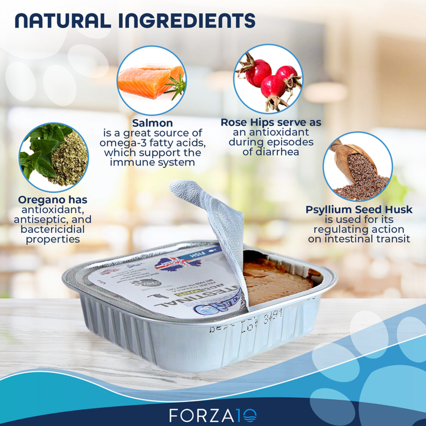 Forza10 ActiWet Intestinal Support Canned Dog Food