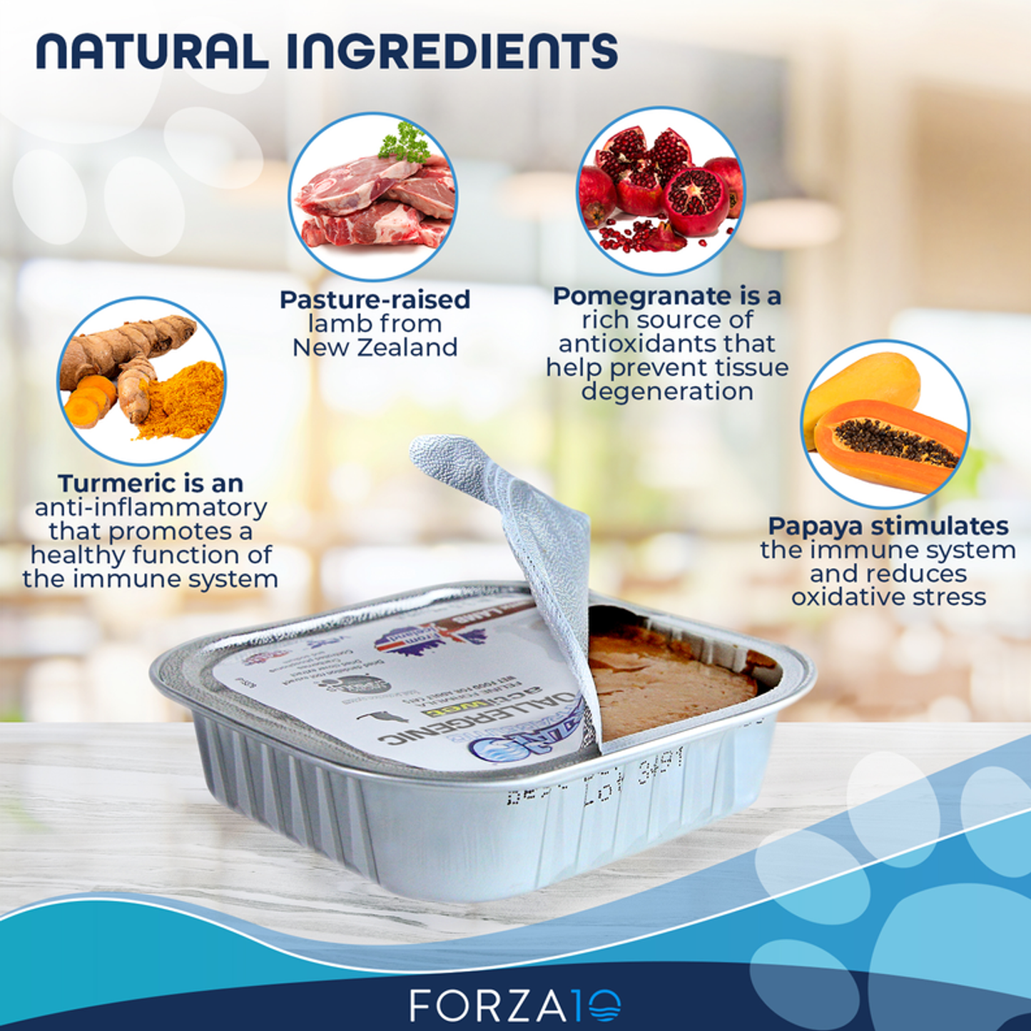 Forza10 ActiWet Hypoallergenic Canned Cat Food, 32 x 3.5 oz
