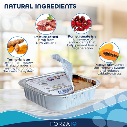 Forza10 ActiWet Hypoallergenic Canned Cat Food, 32 x 3.5 oz