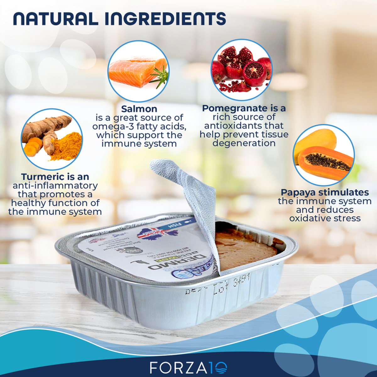 Forza10 ActiWet Dermo Icelandic Fish Canned Cat Food, 32 x 3.5 oz