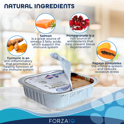Forza10 ActiWet Dermo Icelandic Fish Canned Cat Food, 32 x 3.5 oz