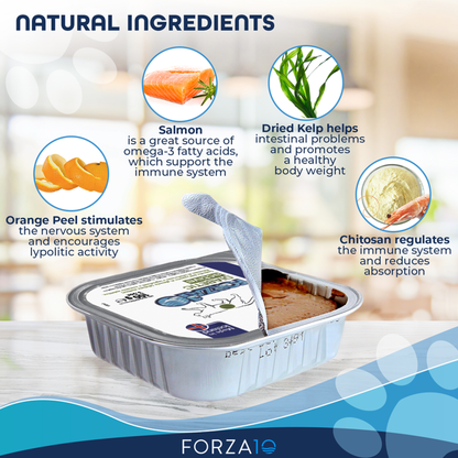 Forza10 ActiWet Diabetic Icelandic Fish Canned Cat Food, 32 x 3.5 oz