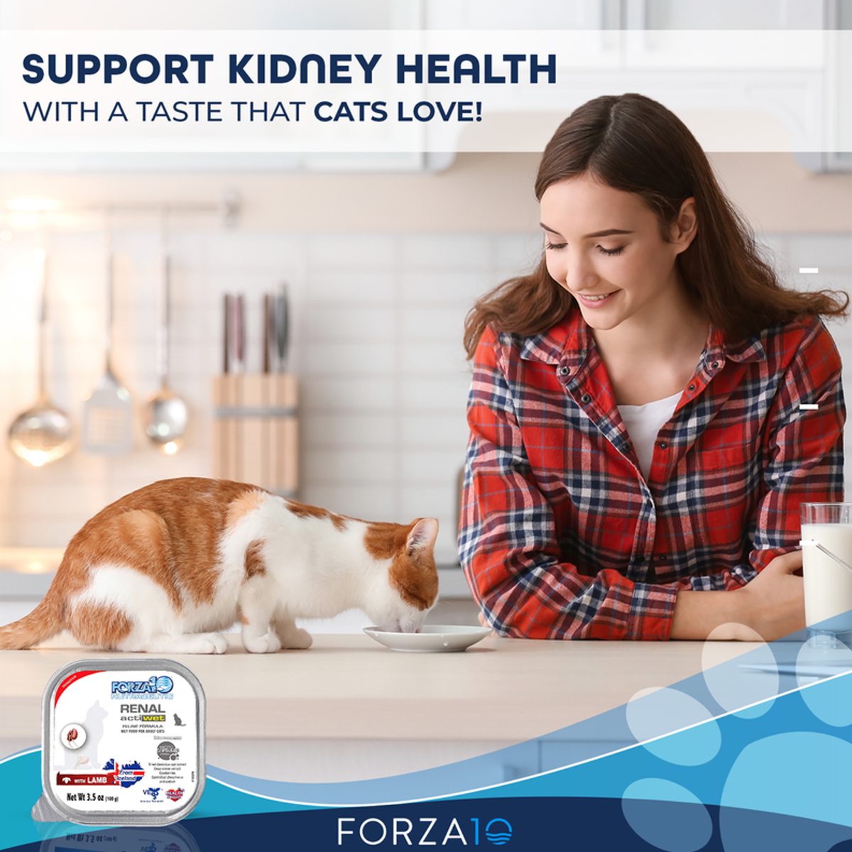 Forza10 ActiWet Renal Support Canned Cat Food, 32 x 3.5 oz