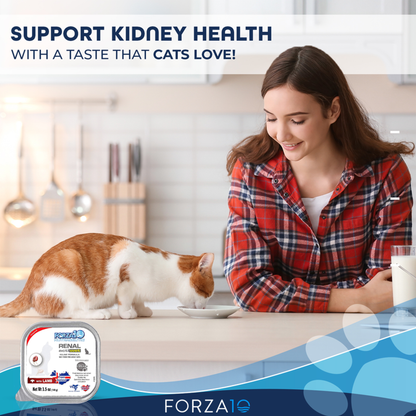 Forza10 ActiWet Renal Support Canned Cat Food, 32 x 3.5 oz