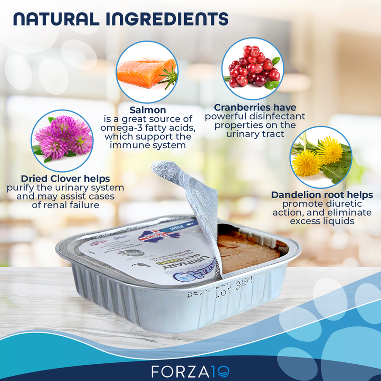 Forza10 ActiWet Urinary Fish Canned Cat Food, 32 x 3.5 oz