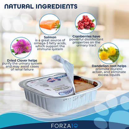 Forza10 ActiWet Urinary Fish Canned Cat Food, 32 x 3.5 oz