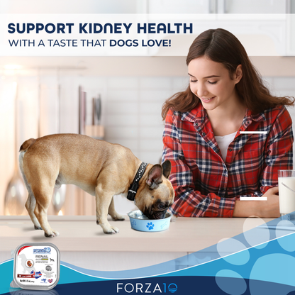 Forza10 ActiWet Renal Support Canned Dog Food, 32 x 3.5 oz