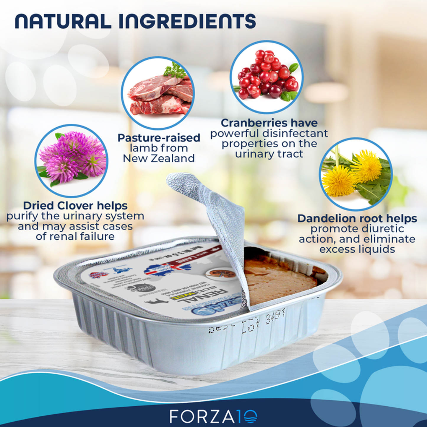Forza10 ActiWet Renal Support Canned Dog Food, 32 x 3.5 oz
