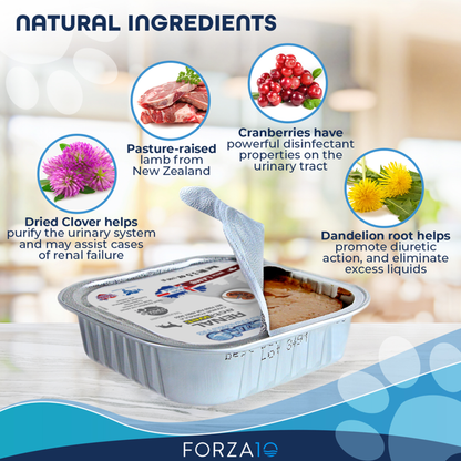 Forza10 ActiWet Renal Support Canned Dog Food, 32 x 3.5 oz