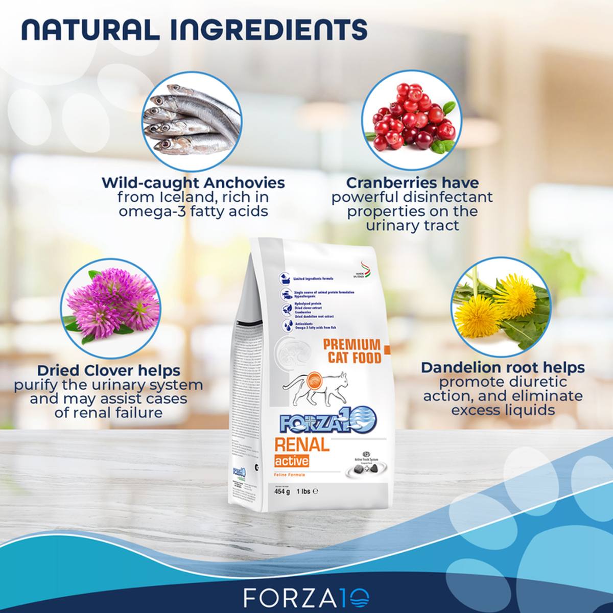 Forza10 Active Kidney Renal Support Diet Dry Cat Food