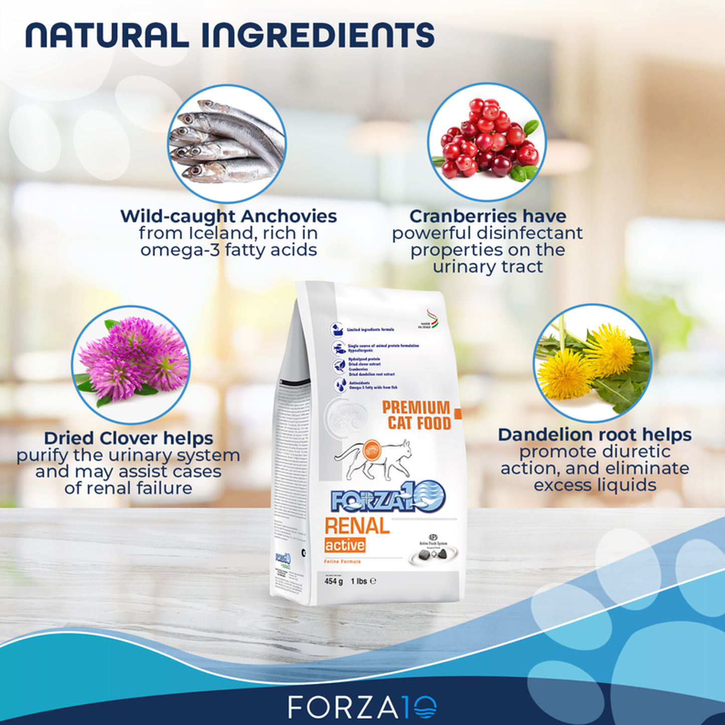 Forza10 Active Kidney Renal Support Diet Dry Cat Food