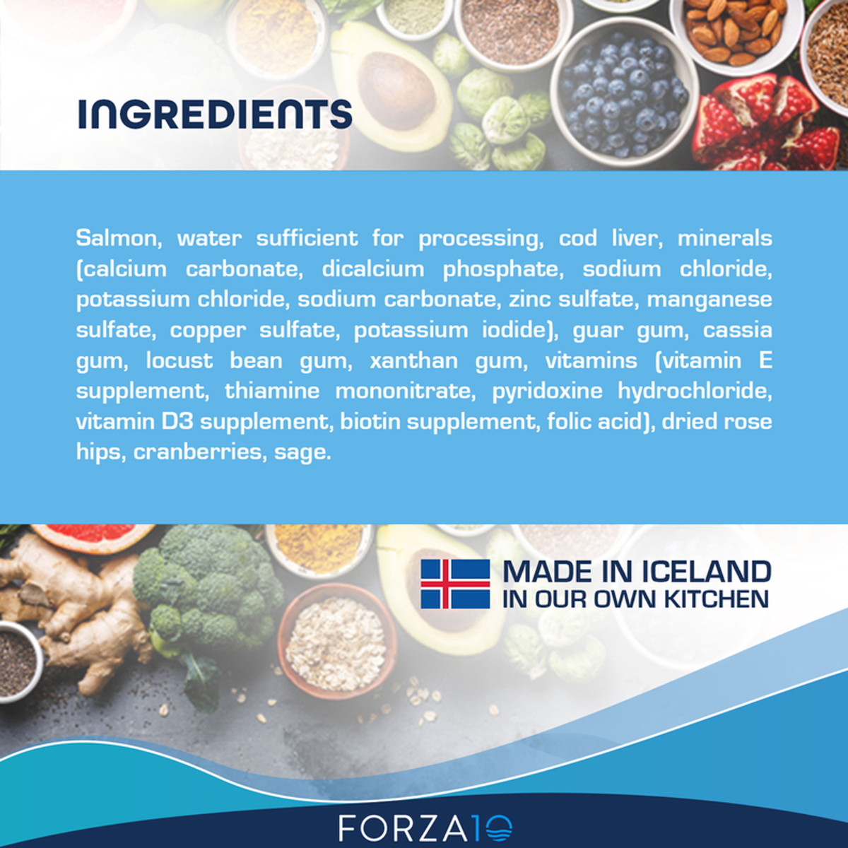 Forza10 Legend Skin Icelandic Fish Canned Dog Food, 12 x 13.7 oz