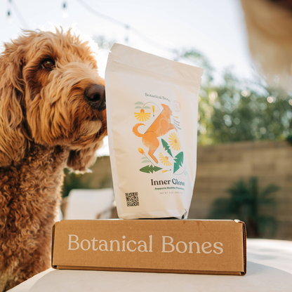 Bulk Treats Superfood Dog Treat Jar Refills
