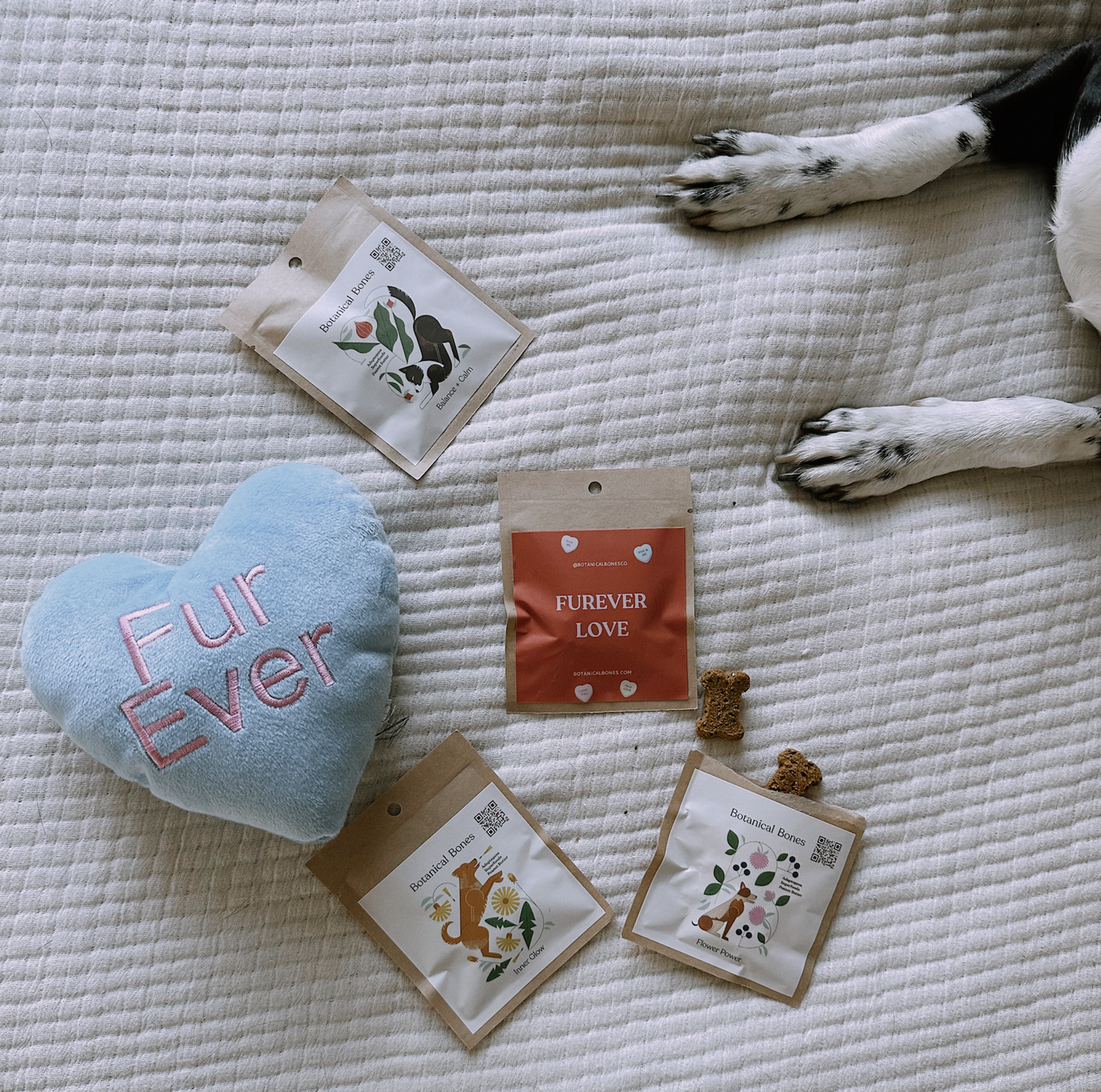 Forever Love Minis Valentine's Dog Treats