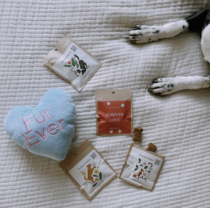 Forever Love Minis Valentine's Dog Treats