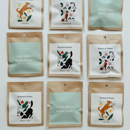 Good Vibes Minis Superfood Dog Gift Packs