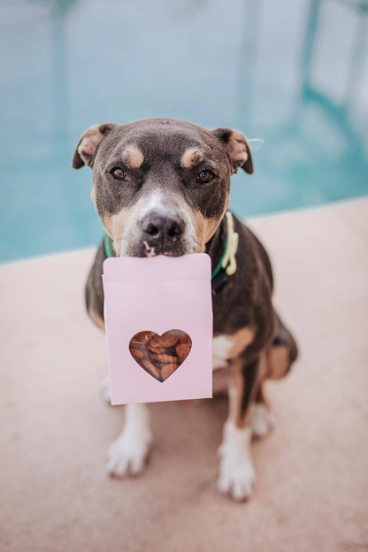 Heart(Beet) Boxes Superfood Dog Treats