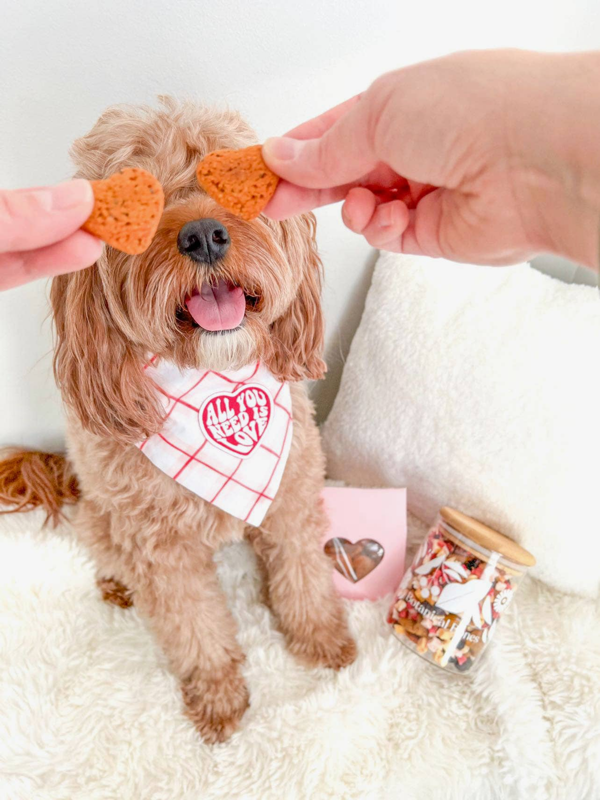 Heart(Beet) Boxes Superfood Dog Treats