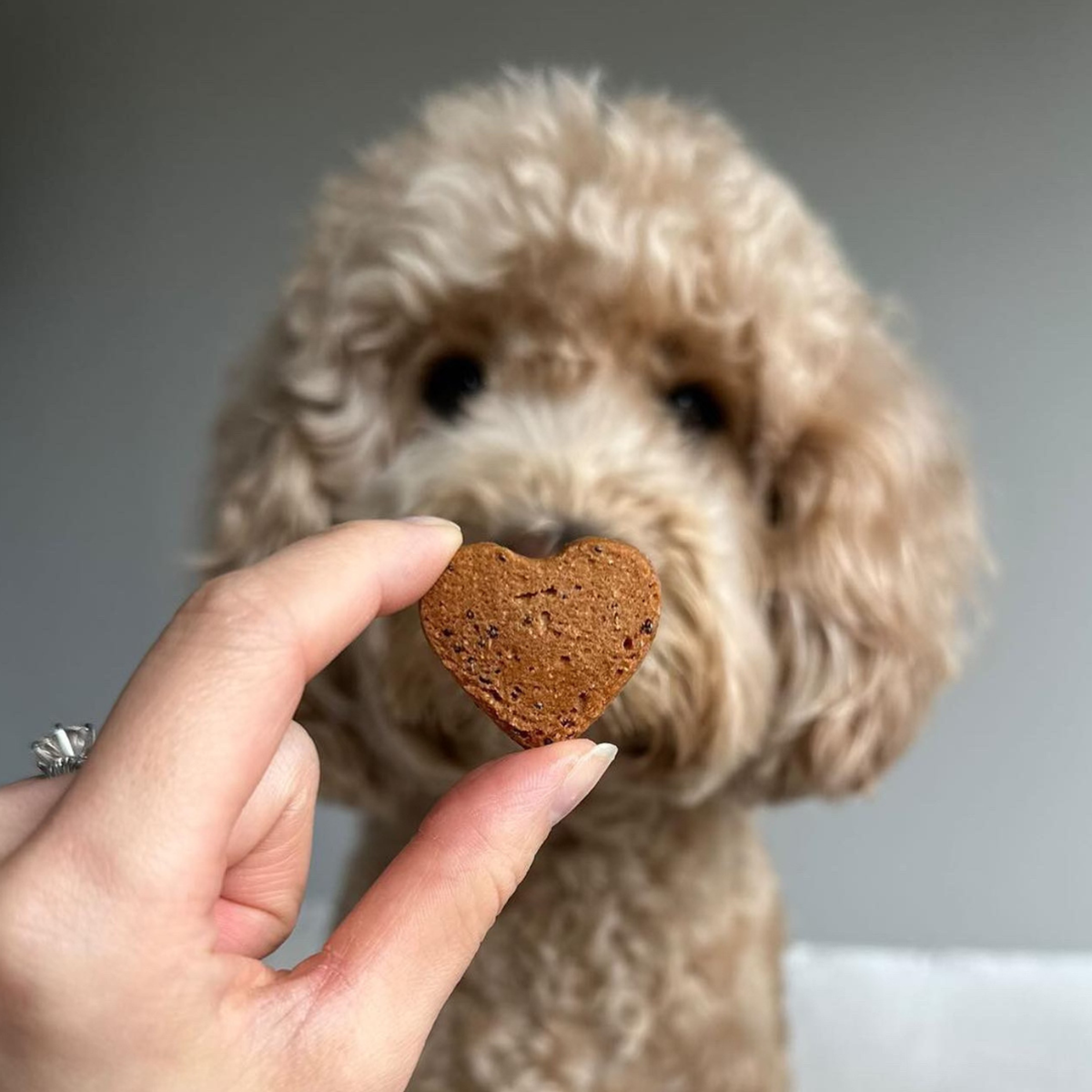 Heart(Beet) Bulk Treats