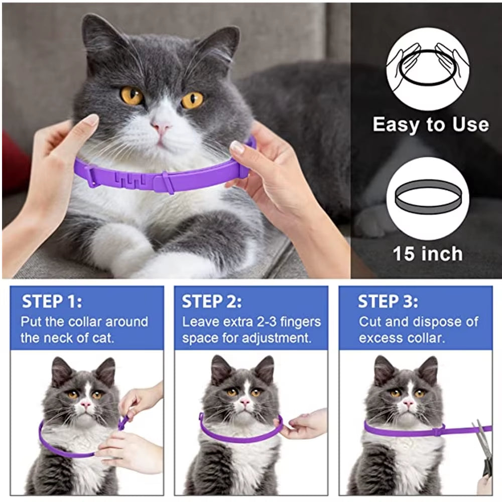 Calming collar 3-pack option for multi-cat homes