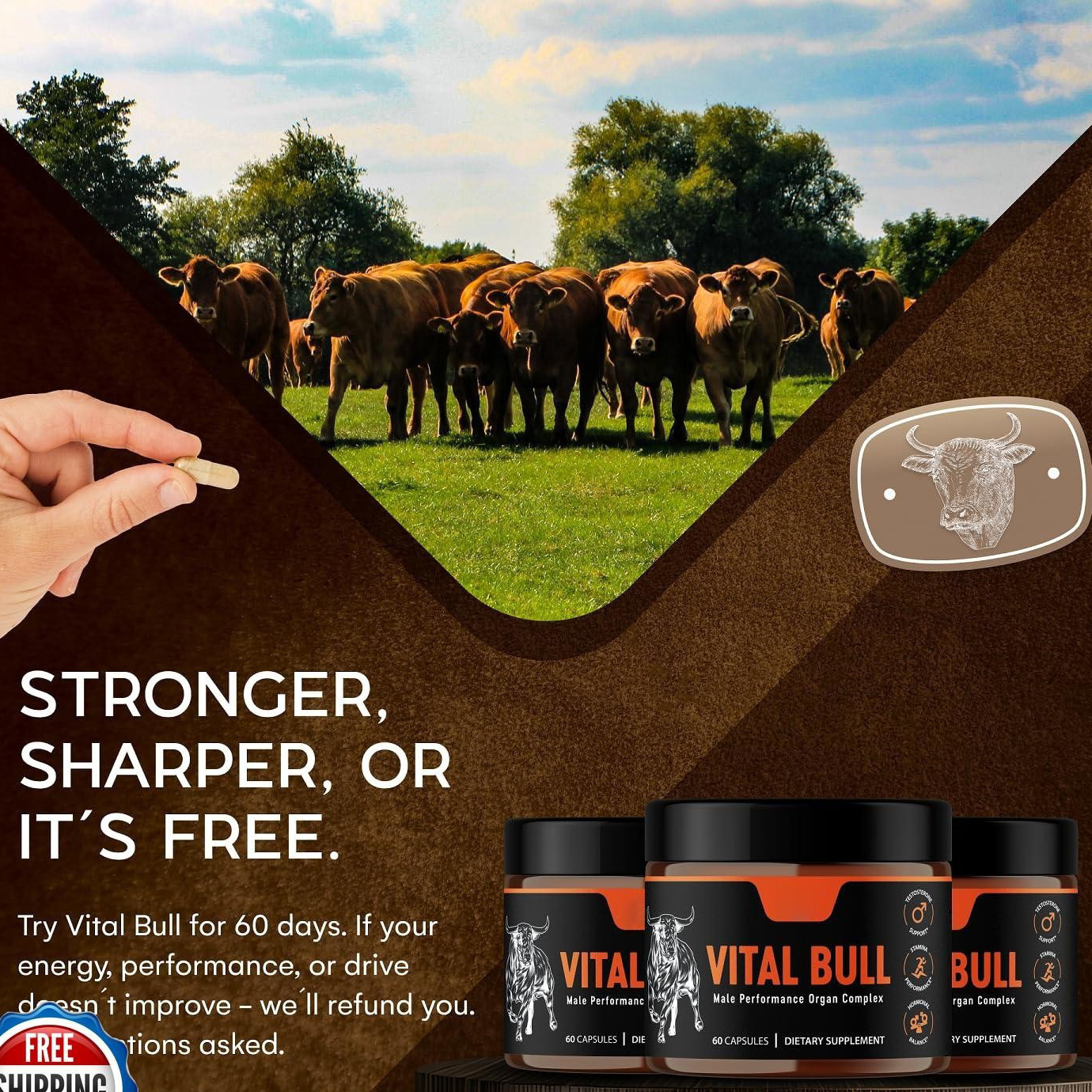 Male Vitality Supplement Beef Liver Capsules