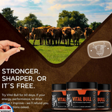 Male Vitality Supplement Beef Liver Capsules