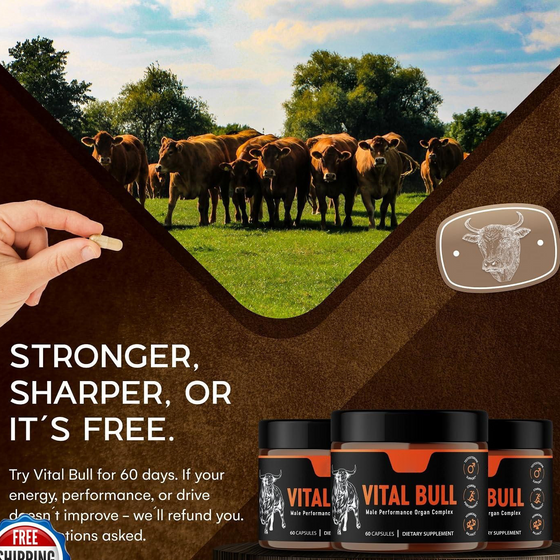 Male Vitality Supplement Beef Liver Capsules product image 3