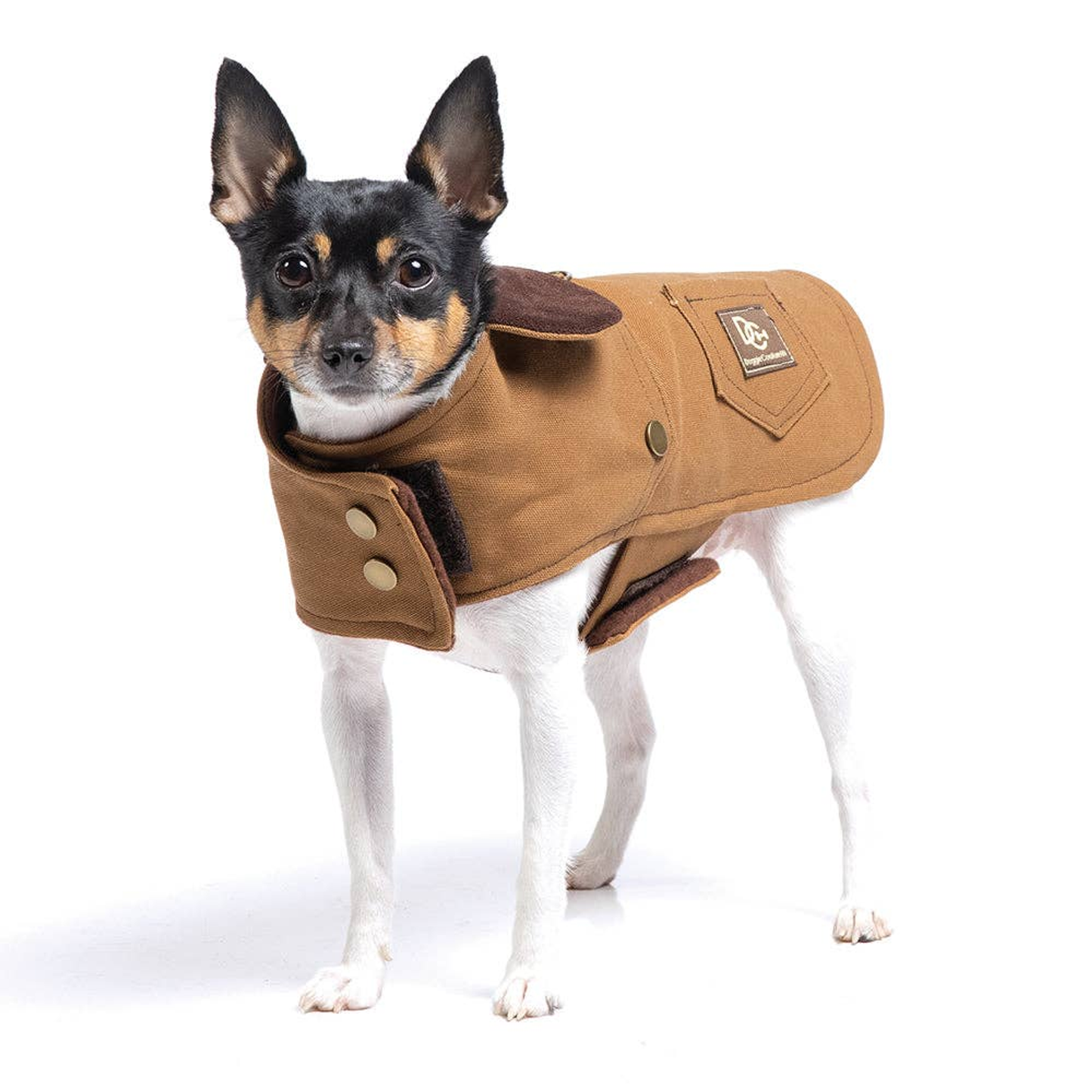 DCNY Canyon Working Dog Coat