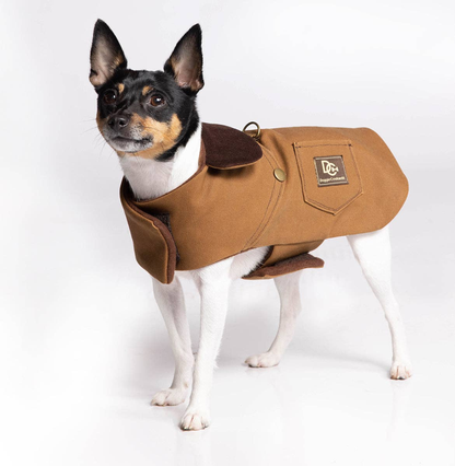 DCNY Canyon Working Dog Coat