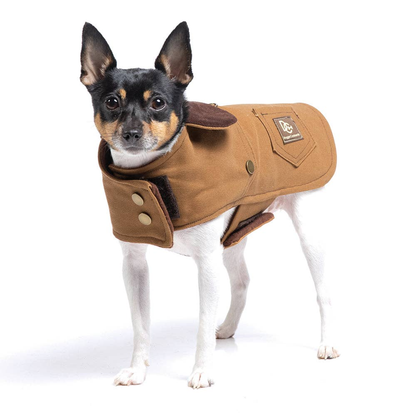 DCNY Canyon Working Dog Coat