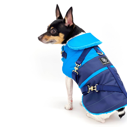 Clear Blue Sky Dog Equestrian Coat