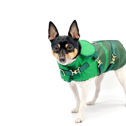 Green with Envy Dog Equestrian Coat