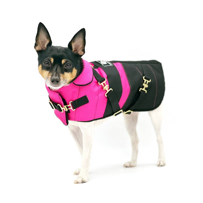 Fun with Fuschia Dog Equestrian Coat