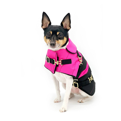 Fun with Fuschia Dog Equestrian Coat
