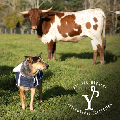 DCNY Ranch Dog Coat