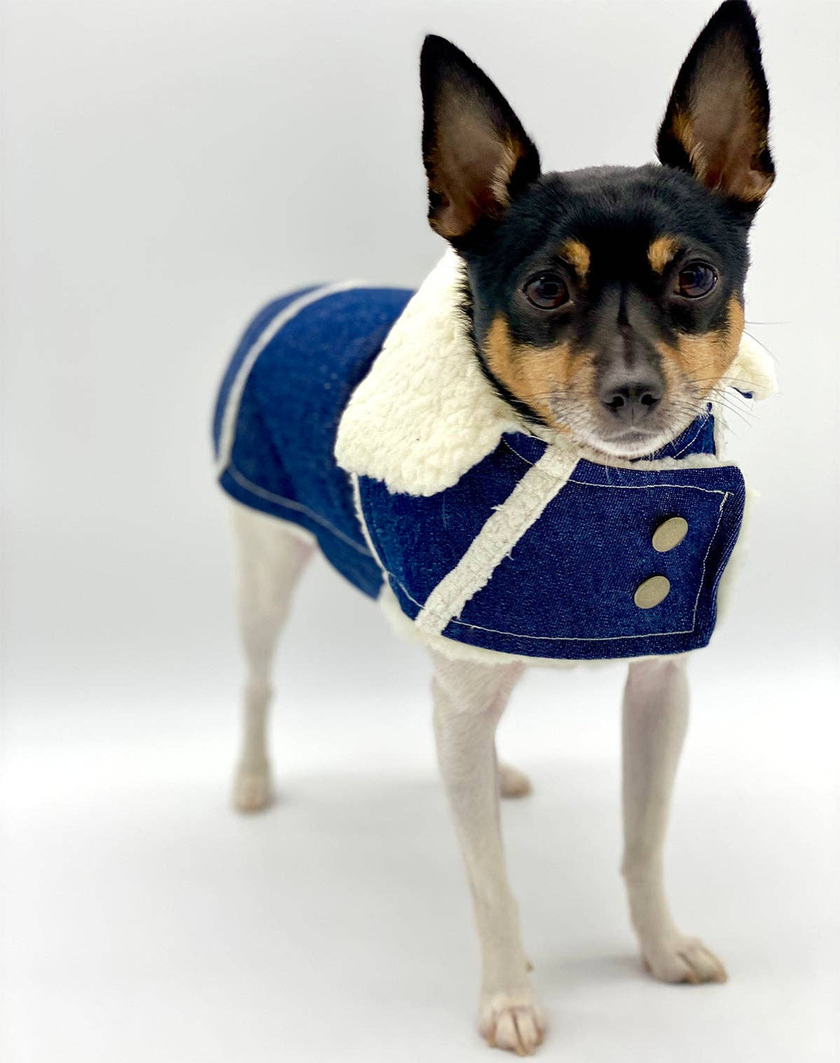 DCNY Ranch Dog Coat