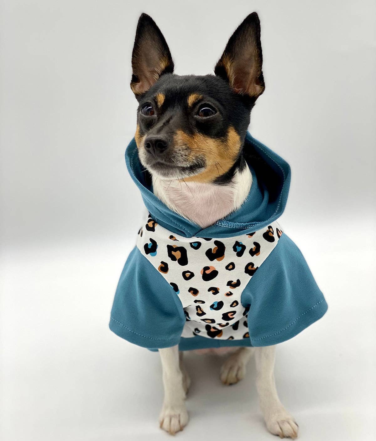 Leopard Print Dog Hoodie - Limited Edition