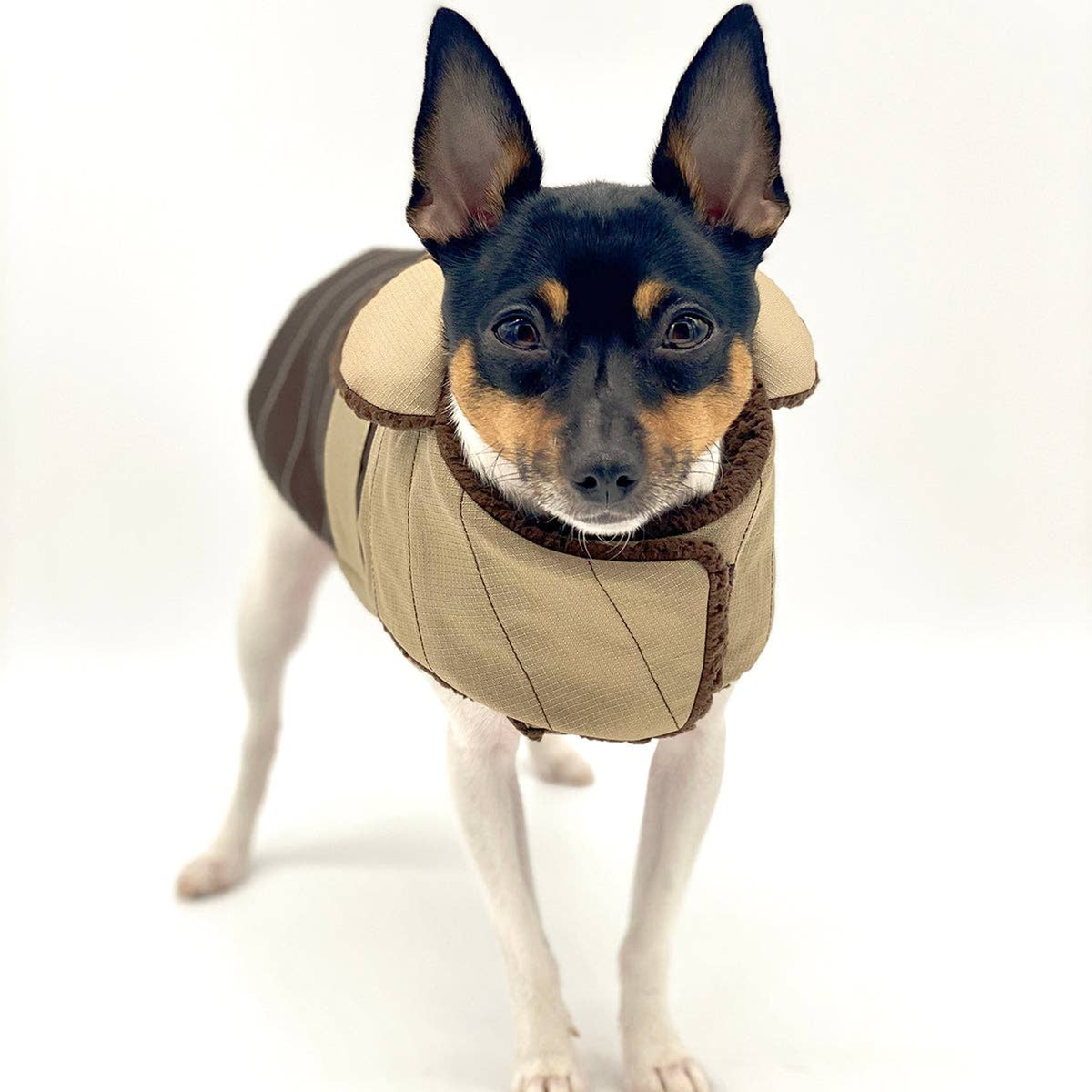 DCNY Water-Resistant Fleece-Lined Dog Coat