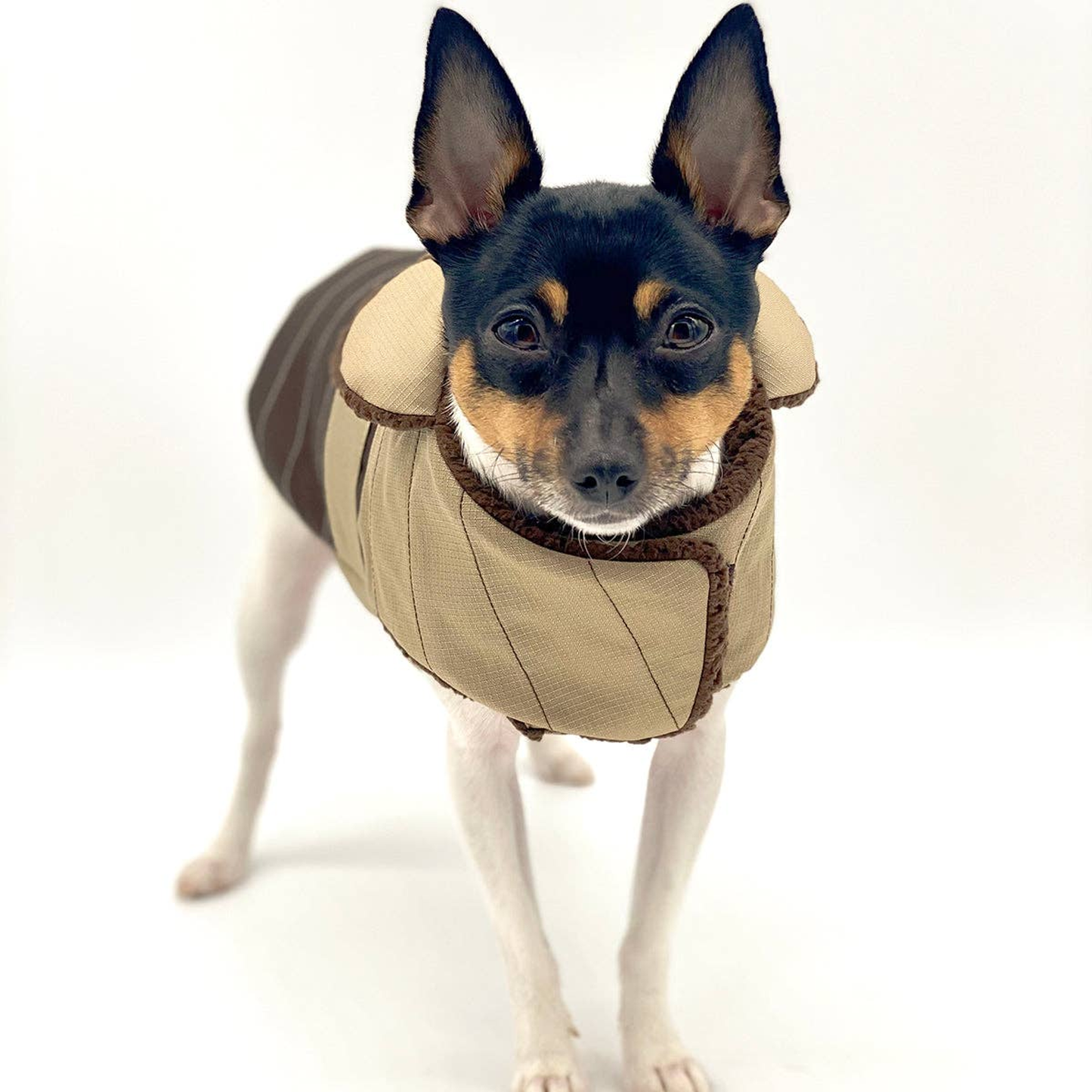 DCNY Water-Resistant Fleece-Lined Dog Coat