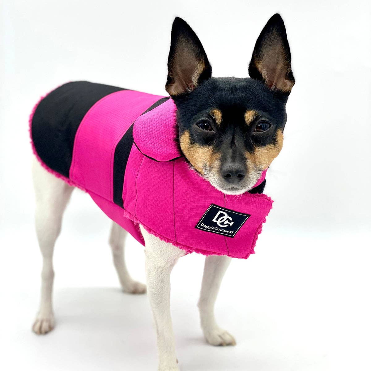 DCNY Water-Resistant Fleece-Lined Dog Coat