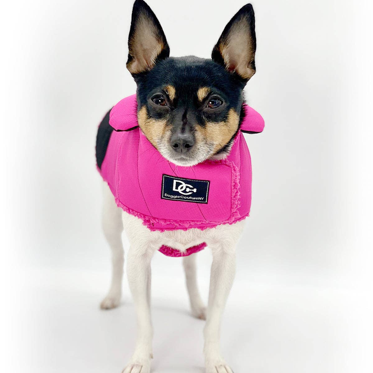 DCNY Water-Resistant Fleece-Lined Dog Coat